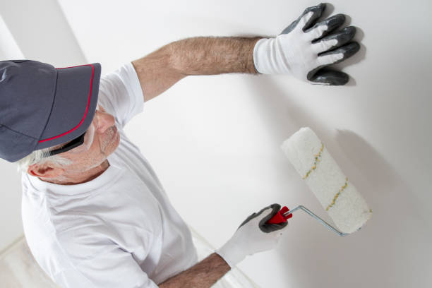 Best Residential Mold Inspection & Testing  in Lonsdale, MN