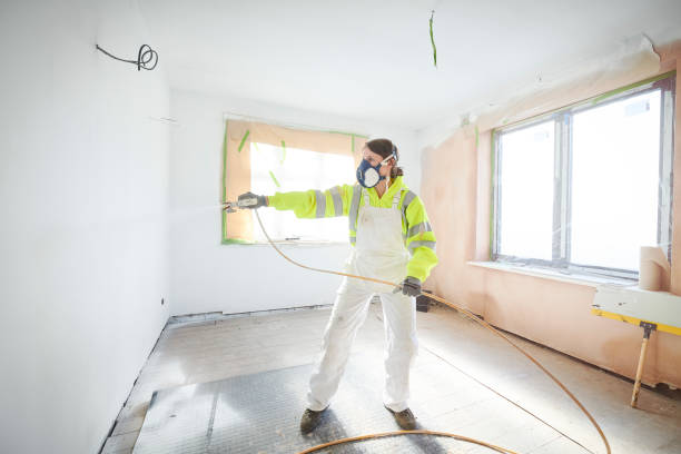 Best Asbestos and Lead Testing During Mold Inspection  in Lonsdale, MN
