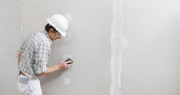 Best Mold Odor Removal Services  in Lonsdale, MN