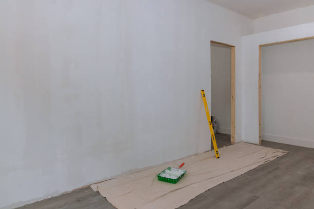 Best Black Mold Removal  in Lonsdale, MN