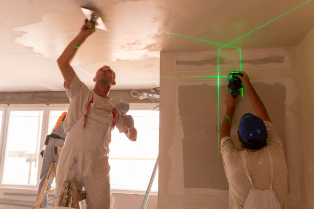 Best Real Estate Mold Inspection  in Lonsdale, MN