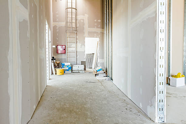 Best Comprehensive Air Testing for Mold Contaminants  in Lonsdale, MN