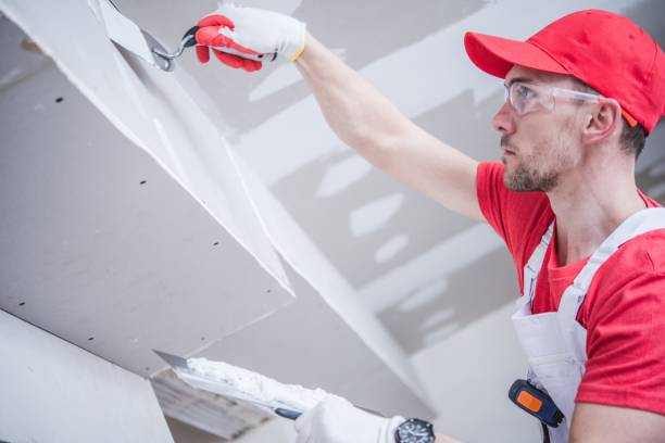 Best Mold Documentation for Insurance Claims  in Lonsdale, MN